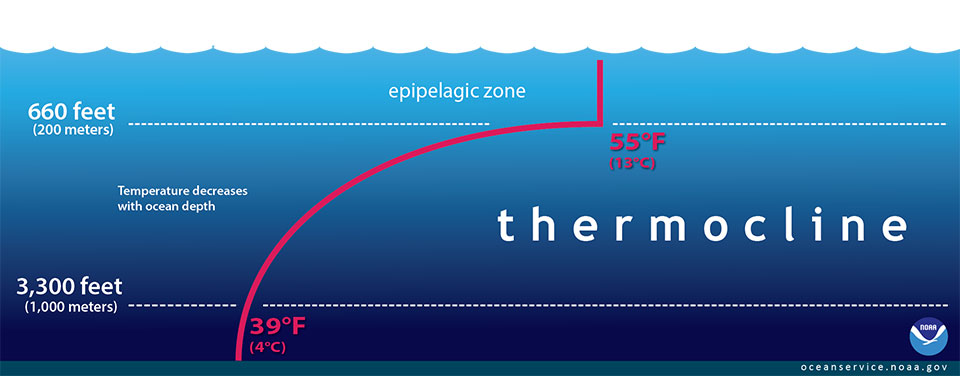 Ocean Thermocline Thermal Layer NOAA